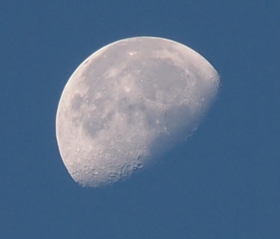 [A three-quarter moon missing the lower right section has clearly visible craters as well as light and dark grey sections on its surface in this close view image. The background sky is a medium blue.]